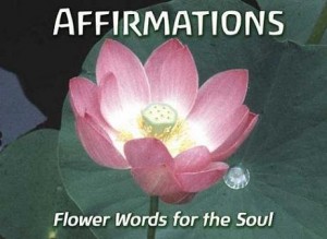 Daily Affirmations Flower Words For The Soul